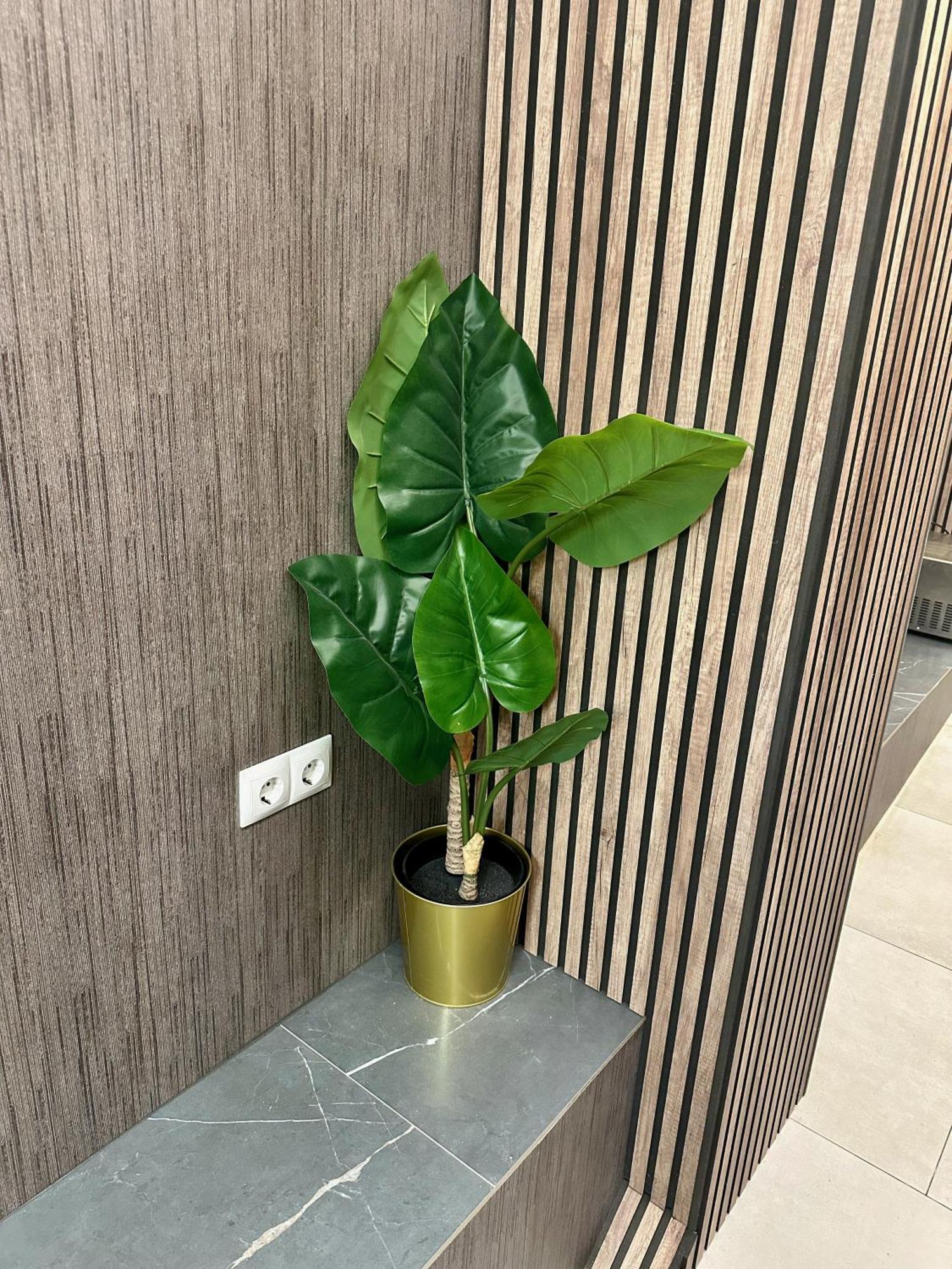 מדריד Velvet Hostels Pacifico מראה חיצוני תמונה